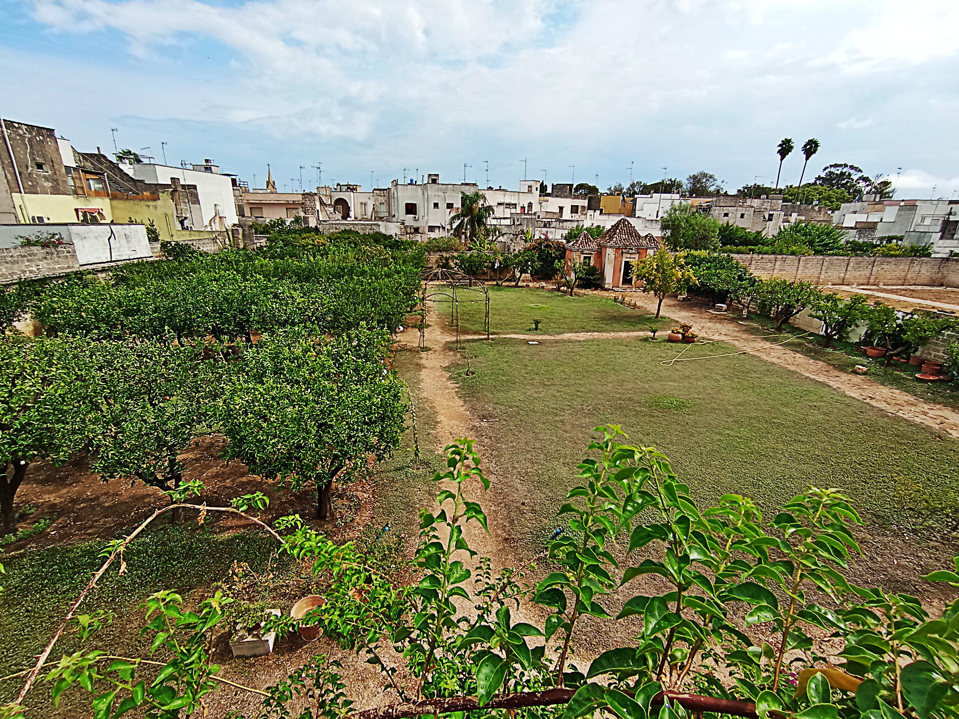 Giardino palazzo Baronale