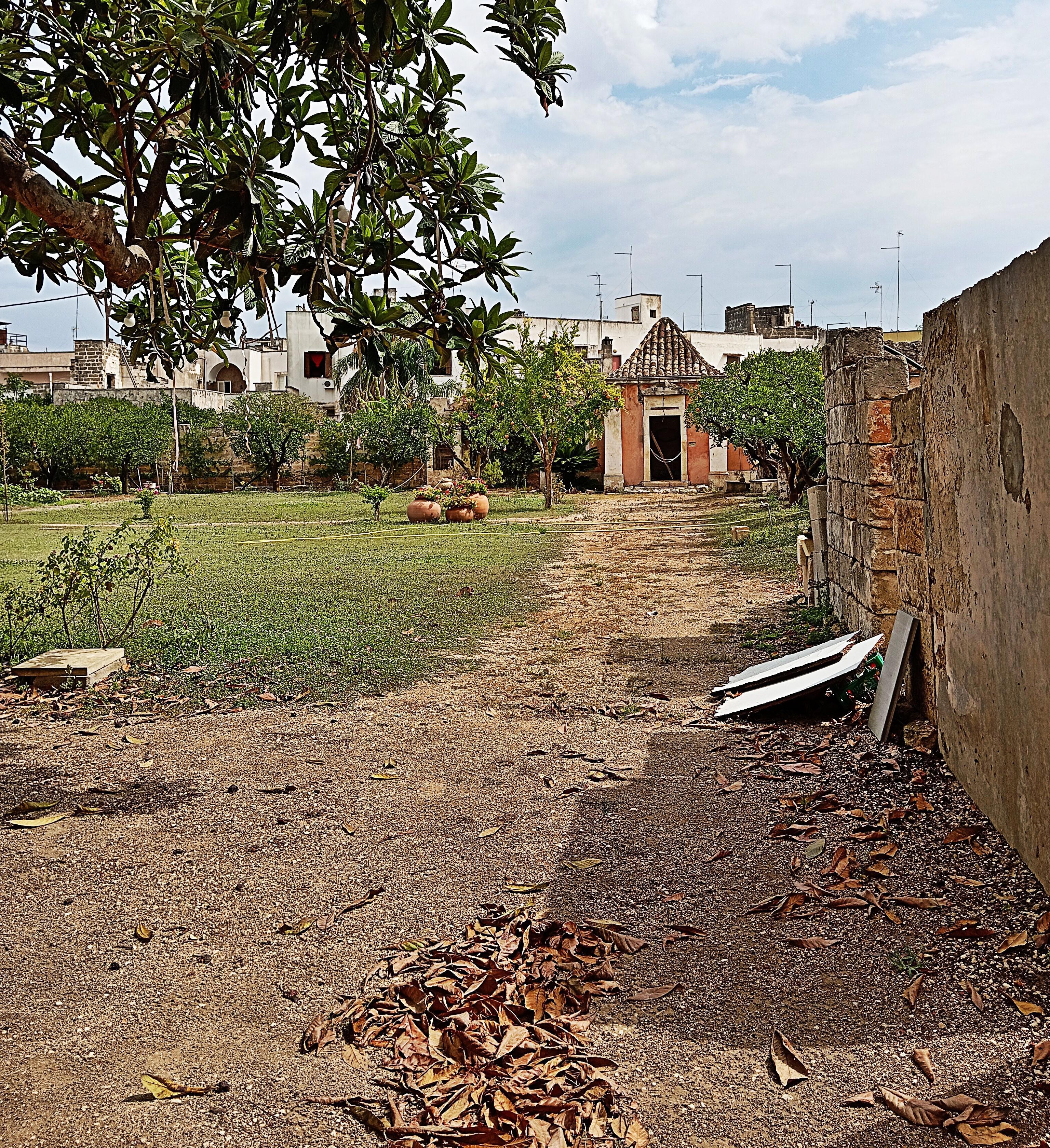 dettaglio del Giardino