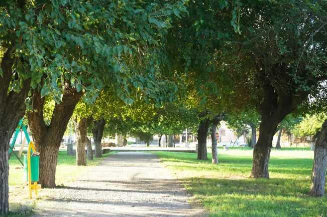 Circuito 2: Infancia