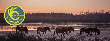 Voor liefhebbers Voor liefhebbers