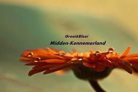 Groene vingers: Groei&Bloei Groene vingers: Groei&Bloei