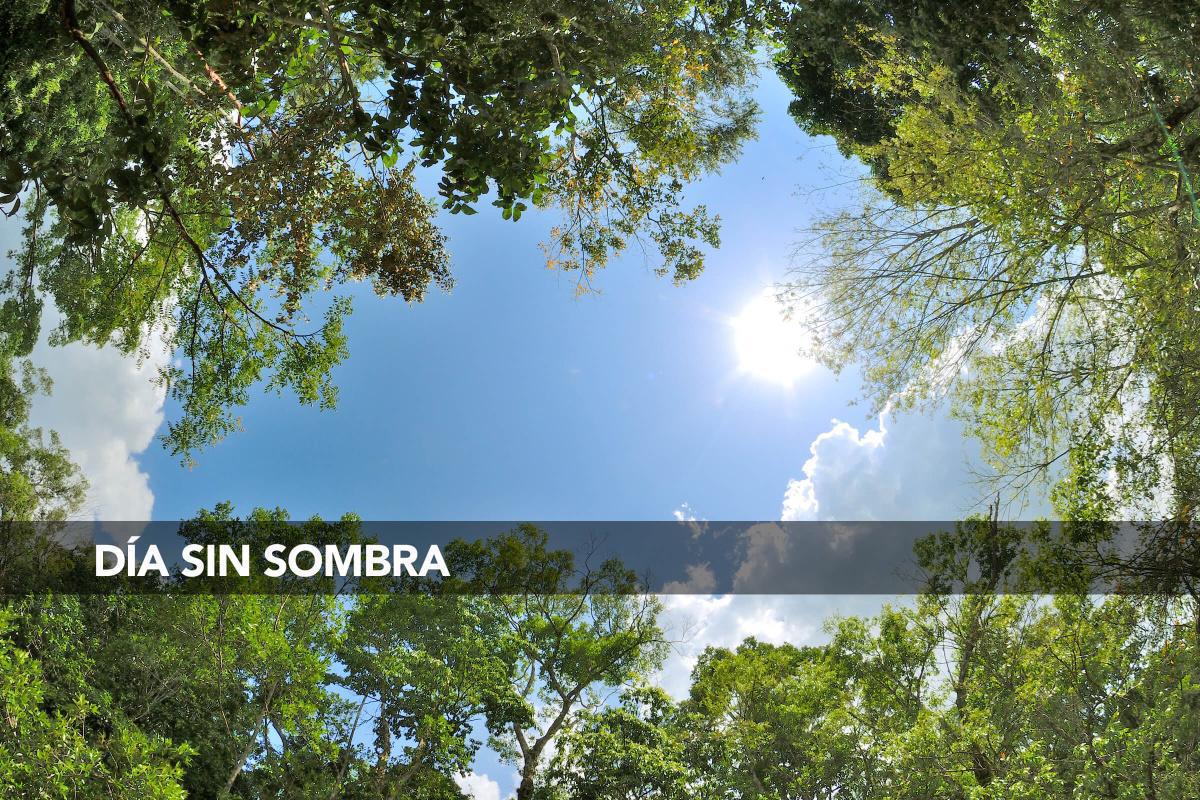 Día sin sombra