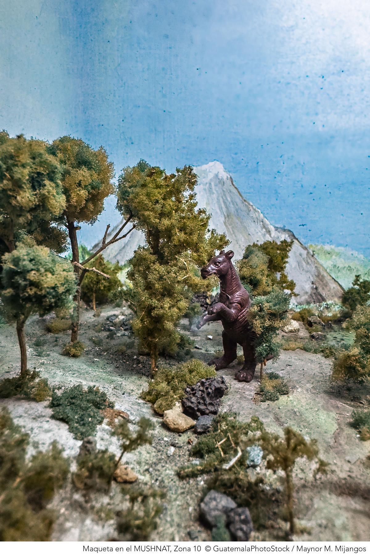 Museo de Historia Natural, USAC