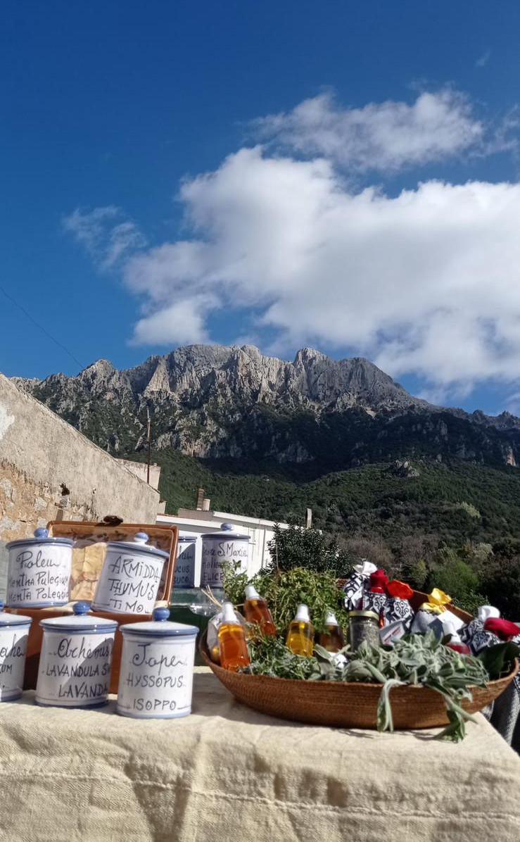 6 Ervas de Jana 6 Ervas de Jana