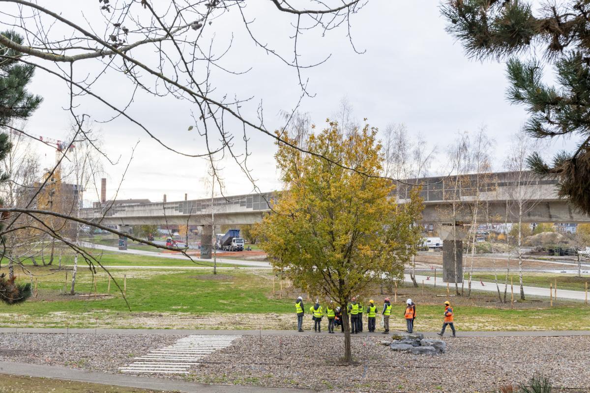 Saint Sauveur : bientôt le parc en attendant la suite...