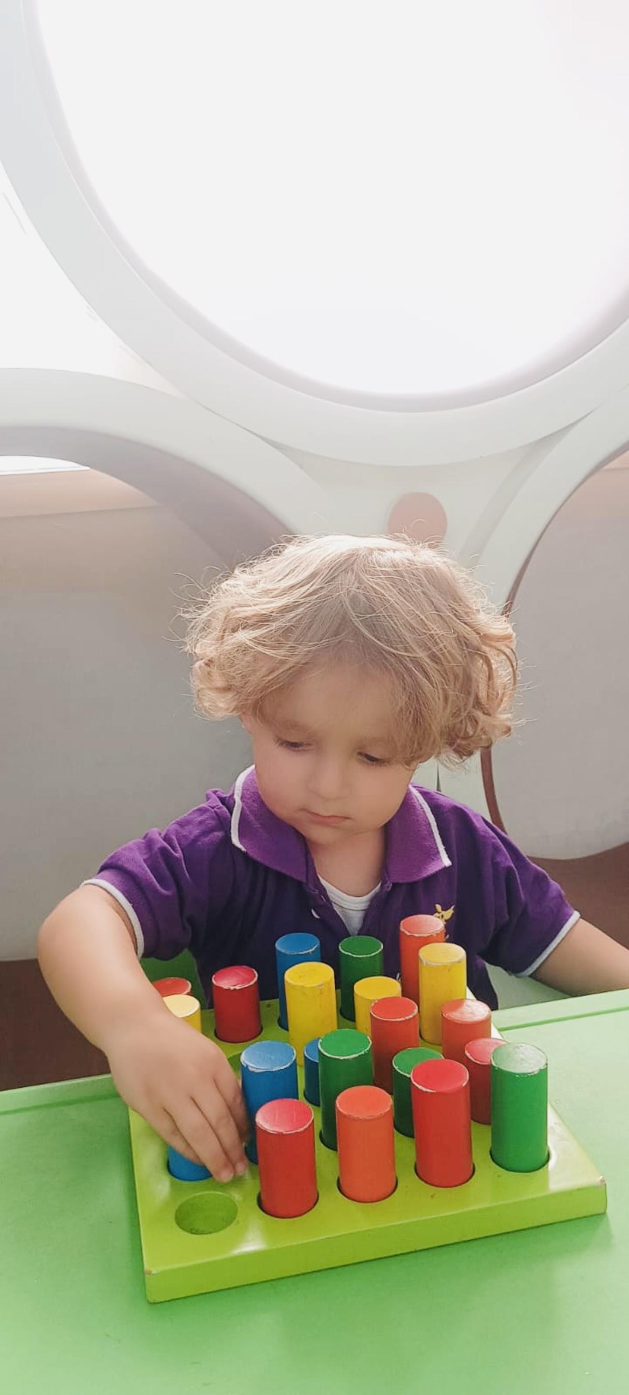 Rod Sorting Board (Helps in fine motor skills , eye coordination , recognition of colors and memory&nbsp;building)