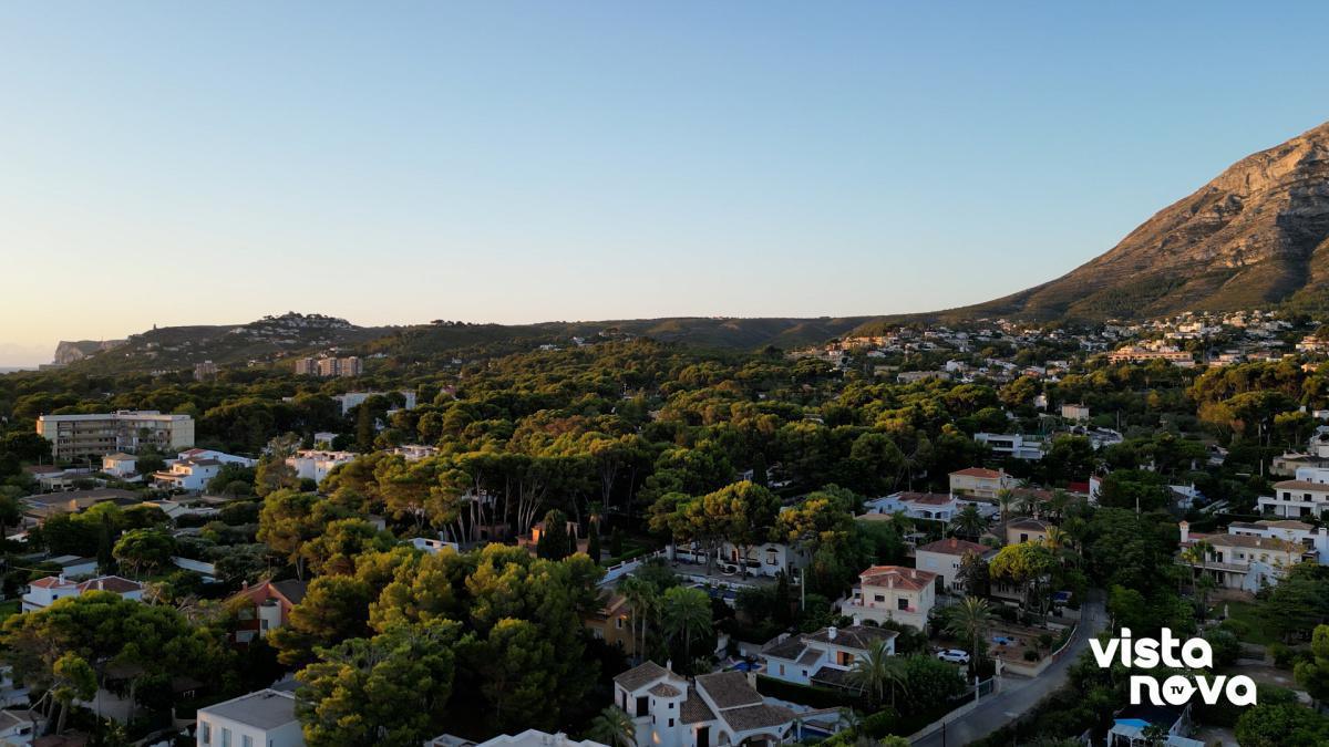 Gent de Dénia se suma a Somos Calpe y presentará una moción sobre emergencia sanitaria forestal Gent de Dénia se suma a Somos Calpe y presentará una moción sobre emergencia sanitaria forestal