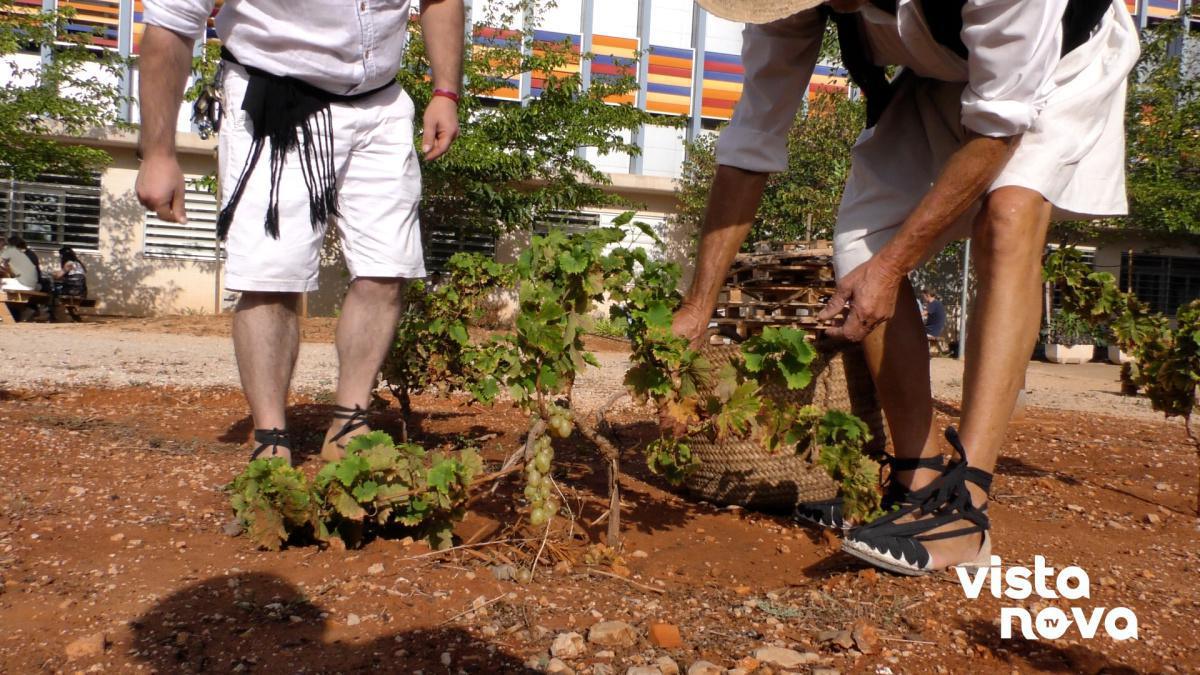 El IES Sorts de la Mar se convierte en un plató de televisión para poner en valor “l’Escaldà” El IES Sorts de la Mar se convierte en un plató de televisión para poner en valor “l’Escaldà”