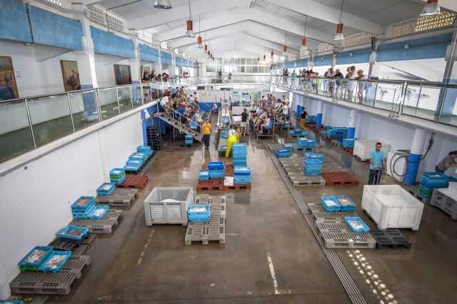 Se presenta la marca Gamba Blanca de Calp durante la I Jornada Gastronómica Se presenta la marca Gamba Blanca de Calp durante la I Jornada Gastronómica