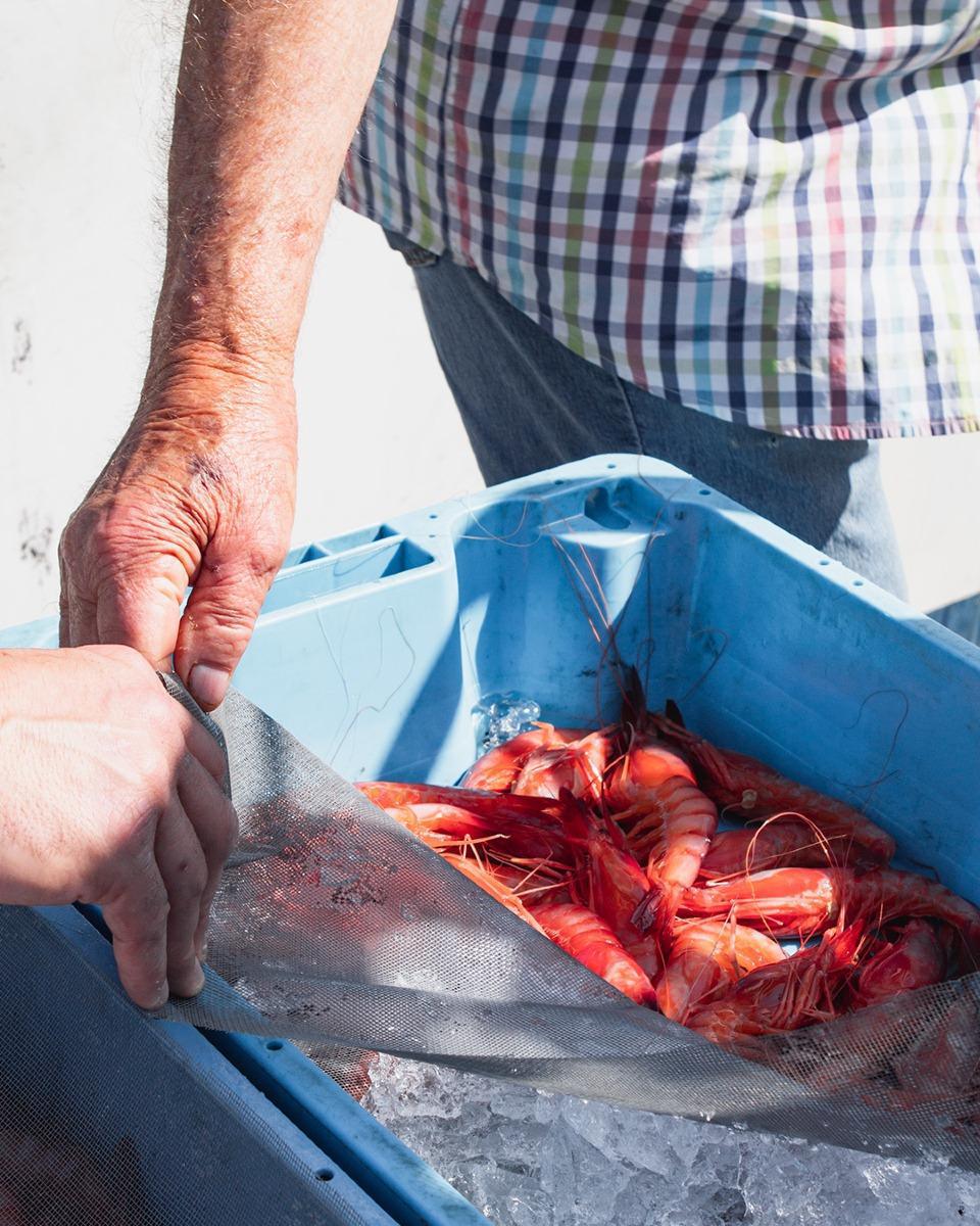 La Xerna del Mar La Xerna del Mar