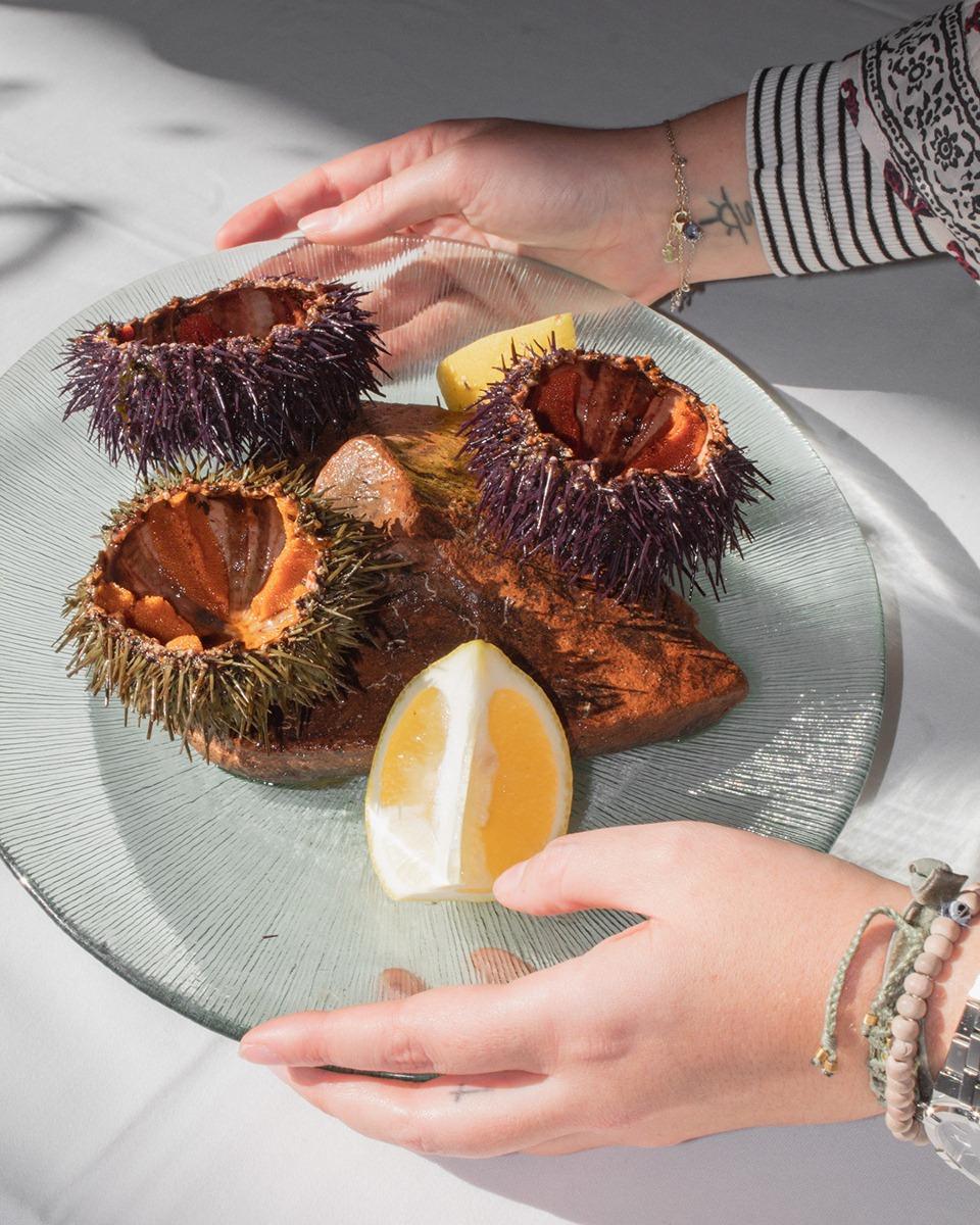 La Xerna del Mar La Xerna del Mar