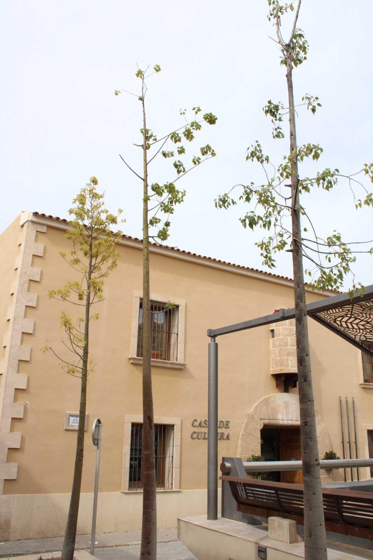 Concluyen las obras de la plaza Mayor de Ondara Concluyen las obras de la plaza Mayor de Ondara