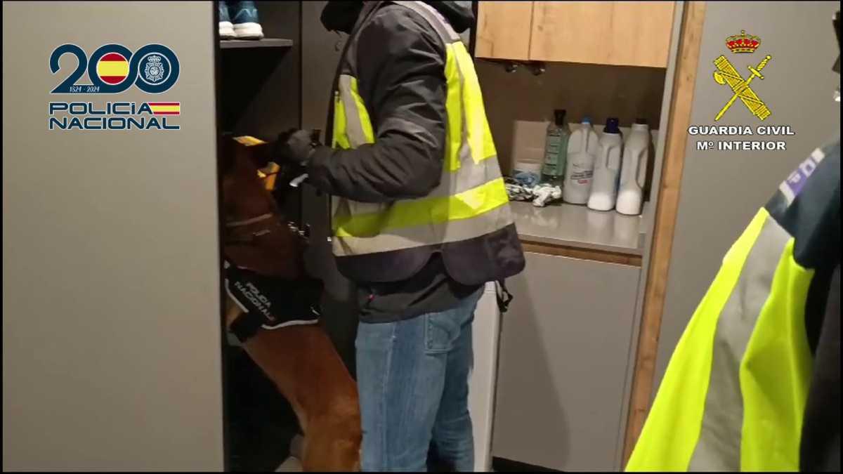 Desarticulado un grupo criminal especializado en robos en farmacias y bancos con detenciones en Dénia