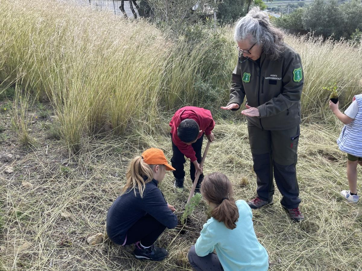 Los escolares de Benitatxell plantan 120 especies autóctonas por el Día del Árbol Los escolares de Benitatxell plantan 120 especies autóctonas por el Día del Árbol