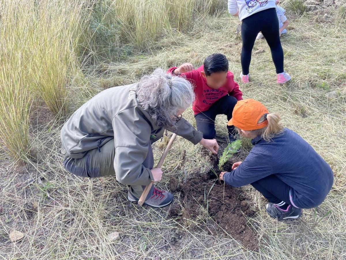Los escolares de Benitatxell plantan 120 especies autóctonas por el Día del Árbol Los escolares de Benitatxell plantan 120 especies autóctonas por el Día del Árbol