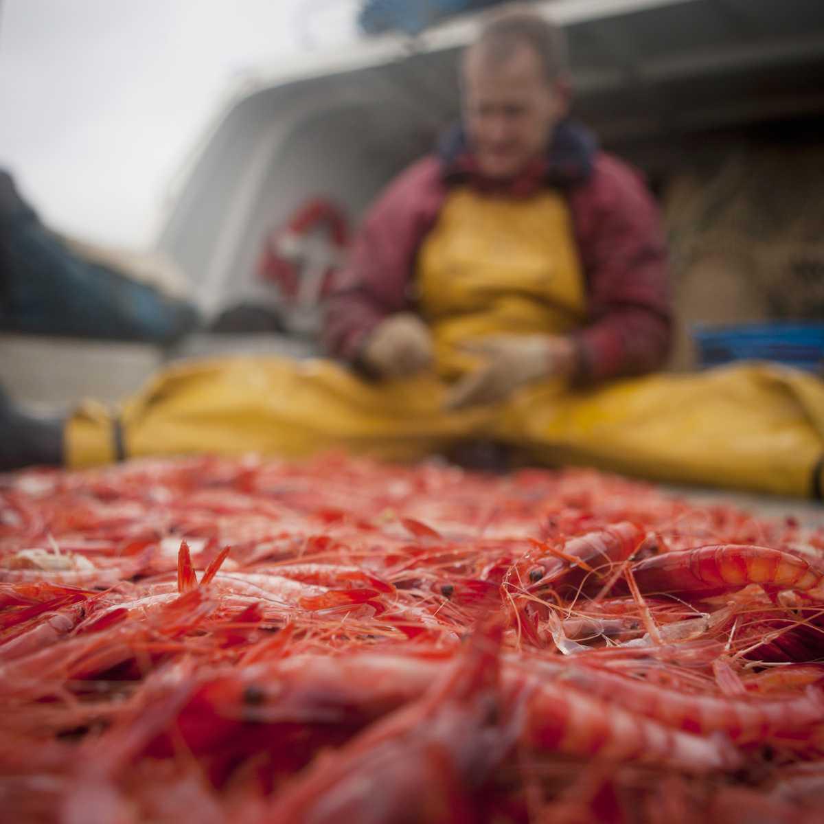 Jake Abbott hace doblete en el Concurso de fotografía Tema Dénia 2025 Jake Abbott hace doblete en el Concurso de fotografía Tema Dénia 2025