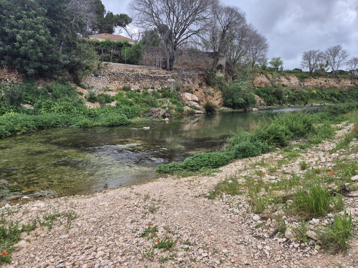 Ondara abre el Molí Coví durante la Pascua Ondara abre el Molí Coví durante la Pascua