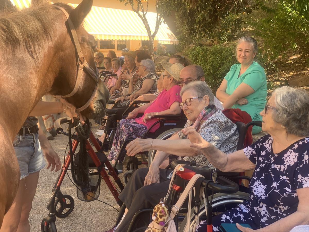 Terapia con caballos, una forma de conectar con las emociones de nuestros mayores en la Residencia Santa Lucia de Dénia