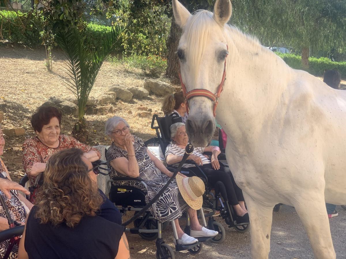 Terapia con caballos, una forma de conectar con las emociones de nuestros mayores en la Residencia Santa Lucia de Dénia