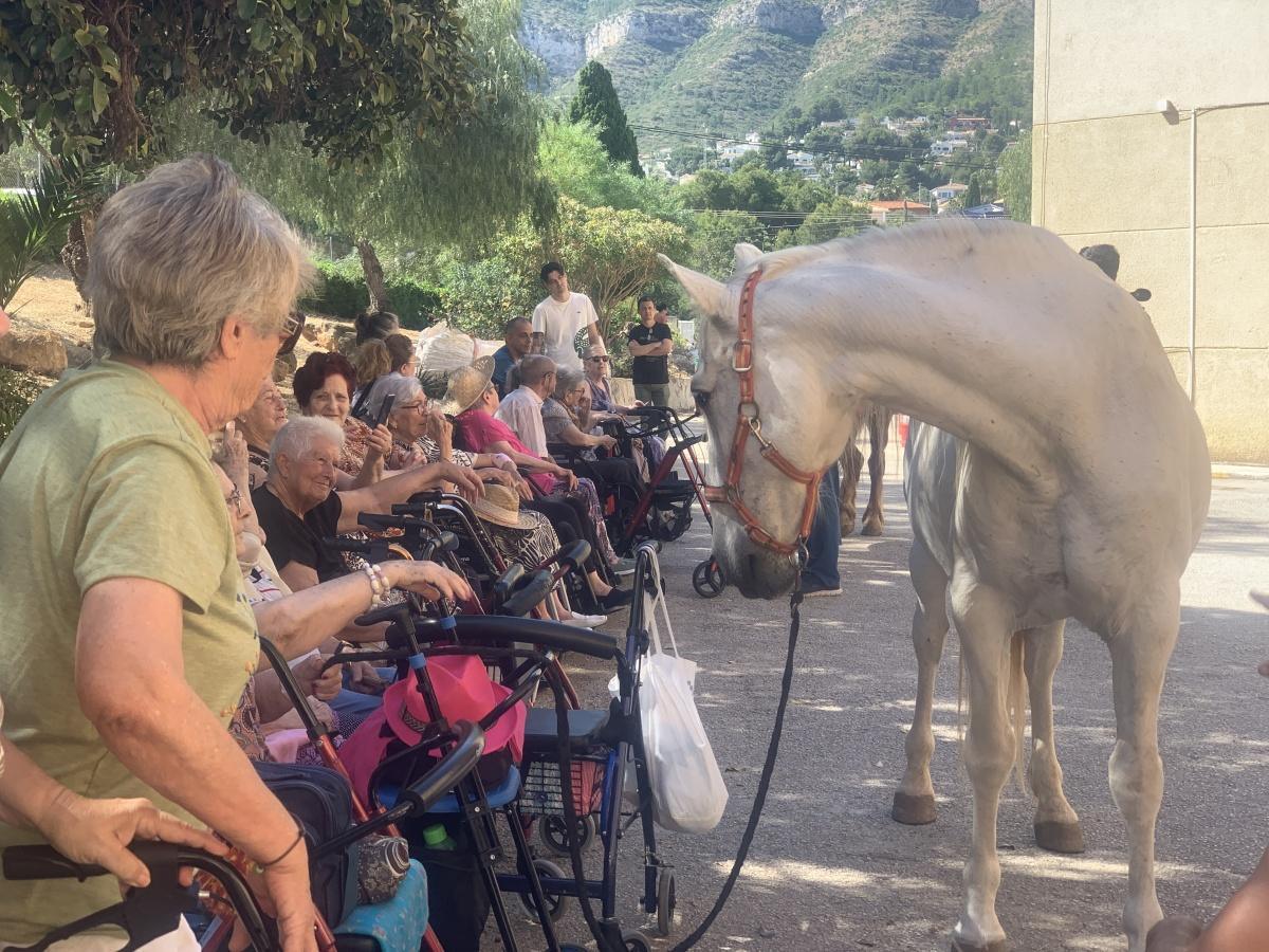 Terapia con caballos, una forma de conectar con las emociones de nuestros mayores en la Residencia Santa Lucia de Dénia
