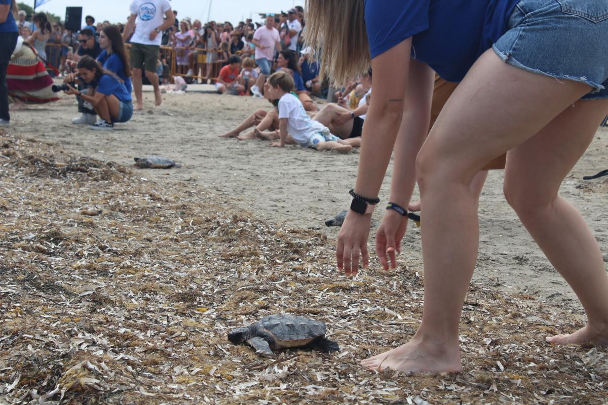 Dénia suelta tortugas en conmemoración del Día de los Océanos Dénia suelta tortugas en conmemoración del Día de los Océanos