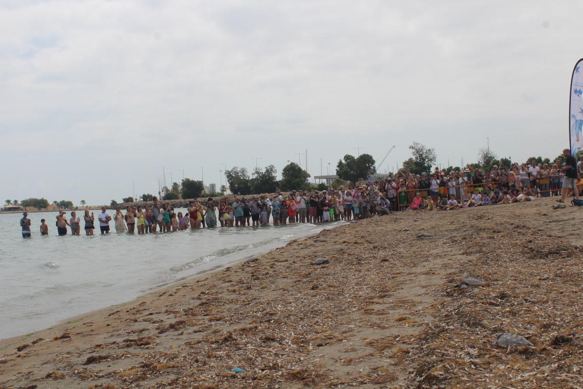 Dénia suelta tortugas en conmemoración del Día de los Océanos Dénia suelta tortugas en conmemoración del Día de los Océanos