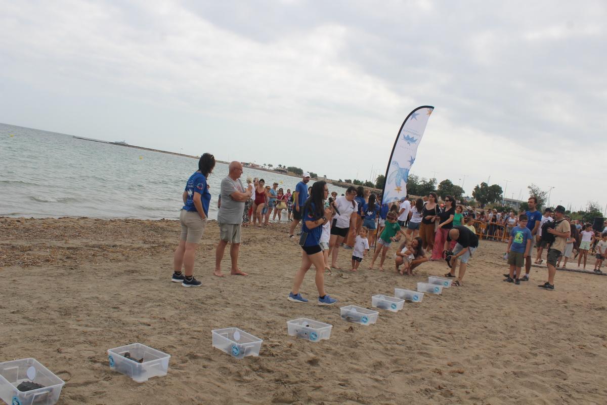 Dénia suelta tortugas en conmemoración del Día de los Océanos Dénia suelta tortugas en conmemoración del Día de los Océanos