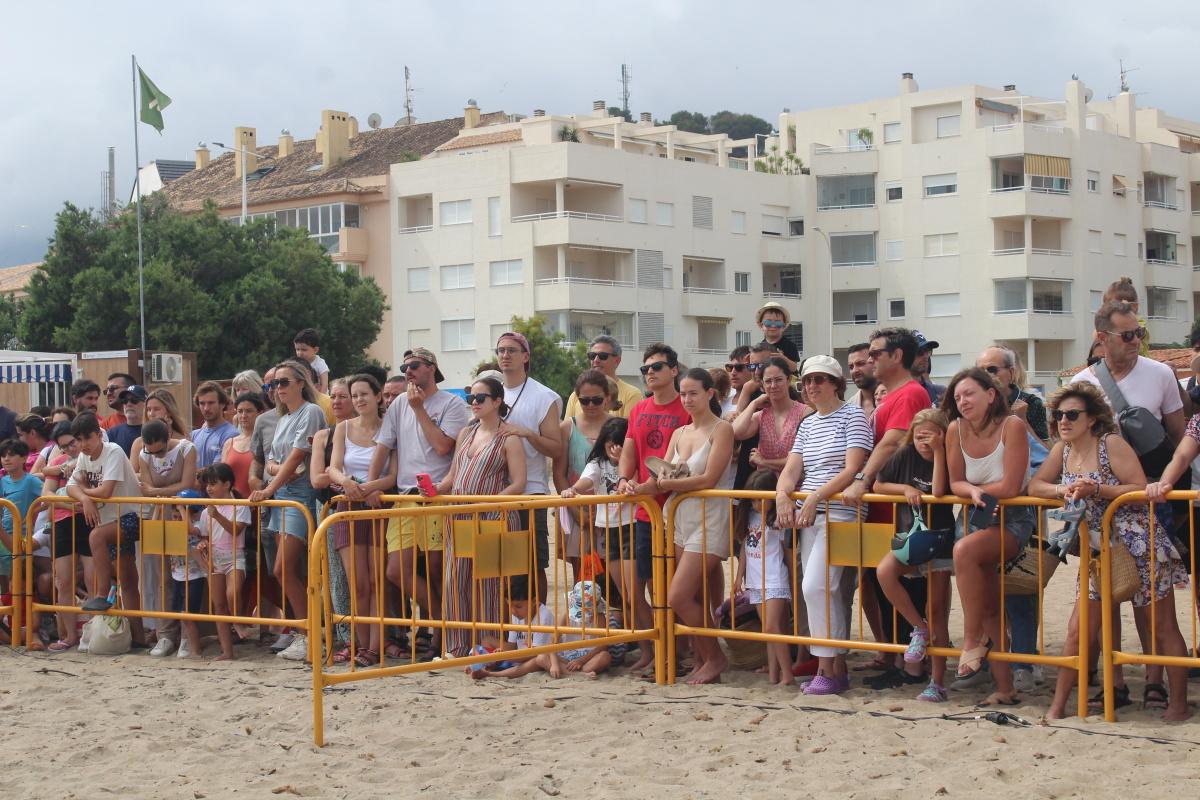 Dénia suelta tortugas en conmemoración del Día de los Océanos Dénia suelta tortugas en conmemoración del Día de los Océanos