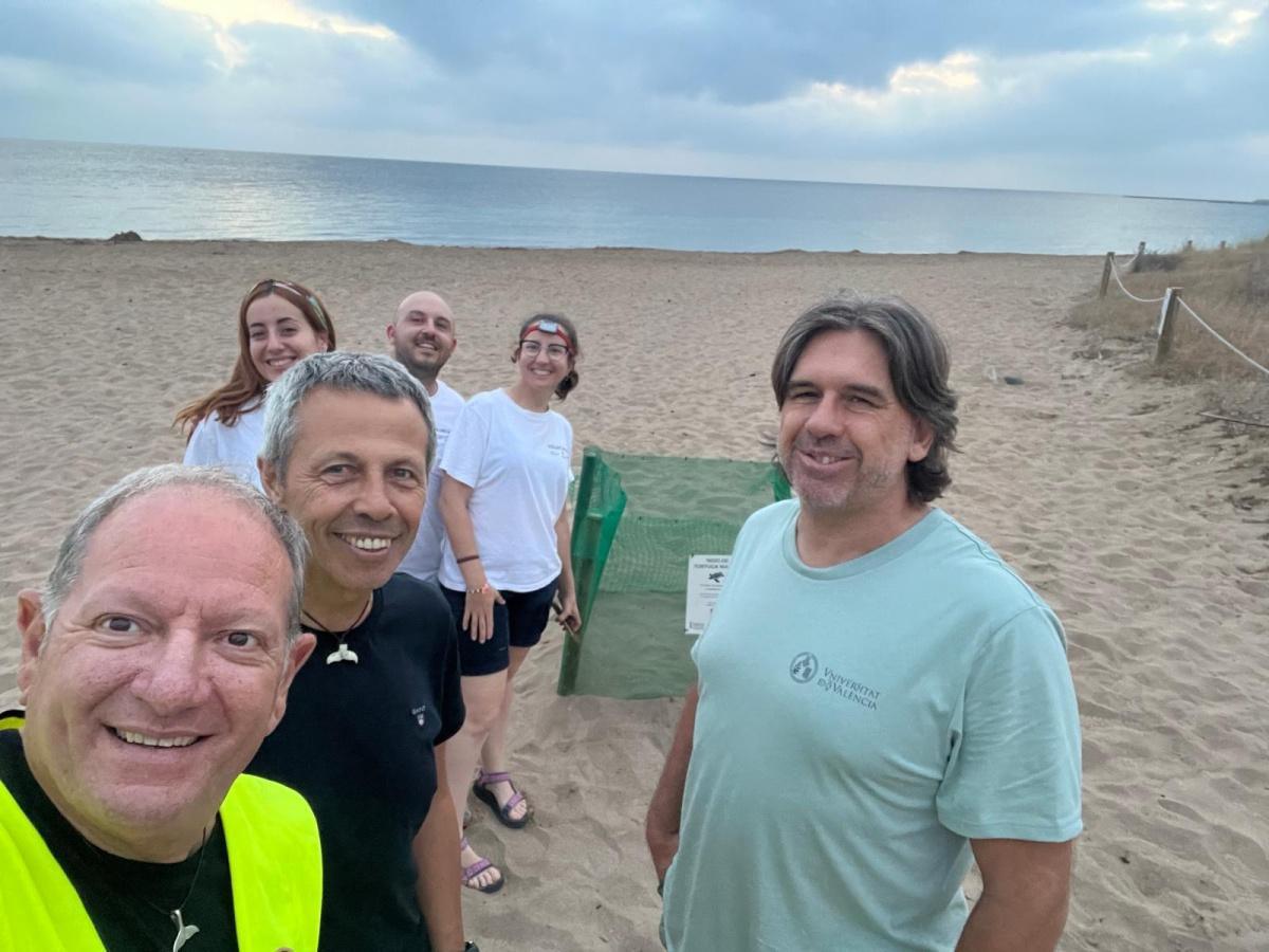 Diana pone 116 huevos en la playa de la Marineta Cassiana de Dénia Diana pone 116 huevos en la playa de la Marineta Cassiana de Dénia