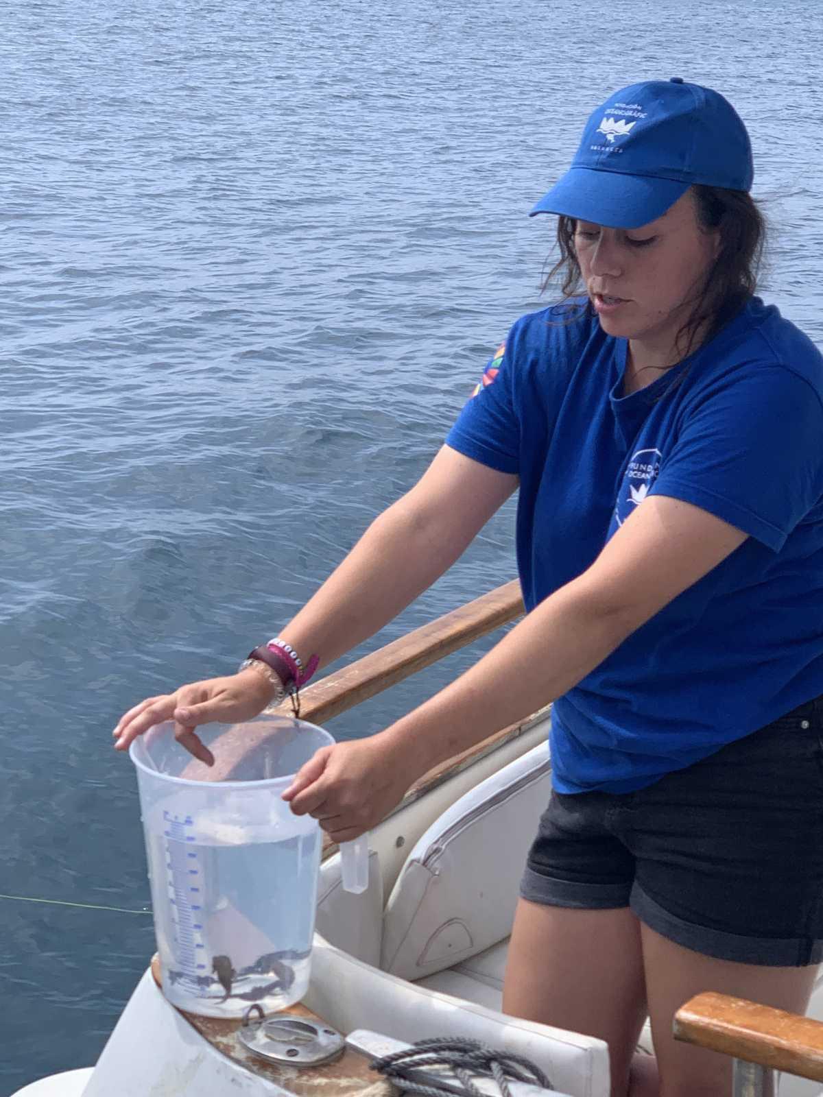 La tortuga Amadeu ya nada en libertad en aguas de Xàbia La tortuga Amadeu ya nada en libertad en aguas de Xàbia