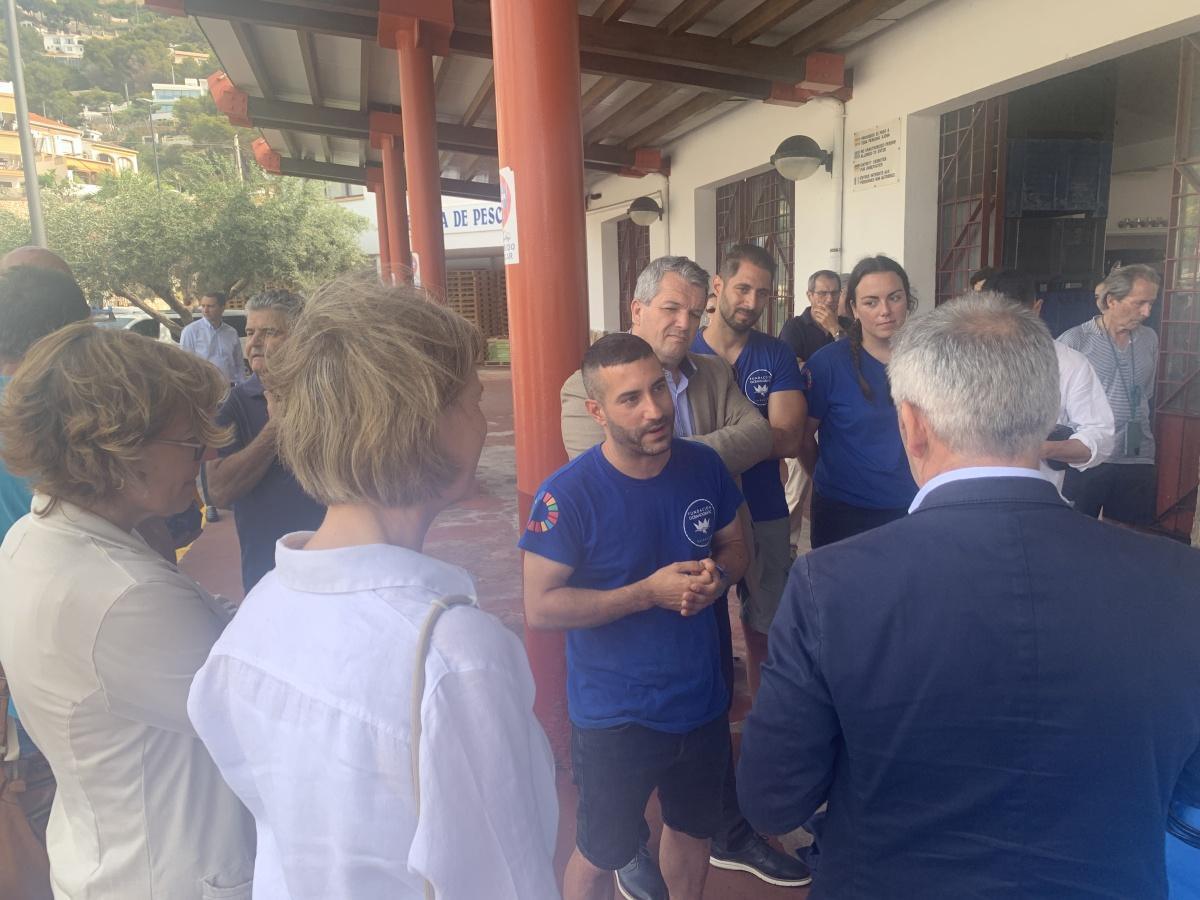 La tortuga Amadeu ya nada en libertad en aguas de Xàbia