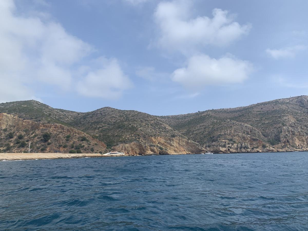 La tortuga Amadeu ya nada en libertad en aguas de Xàbia