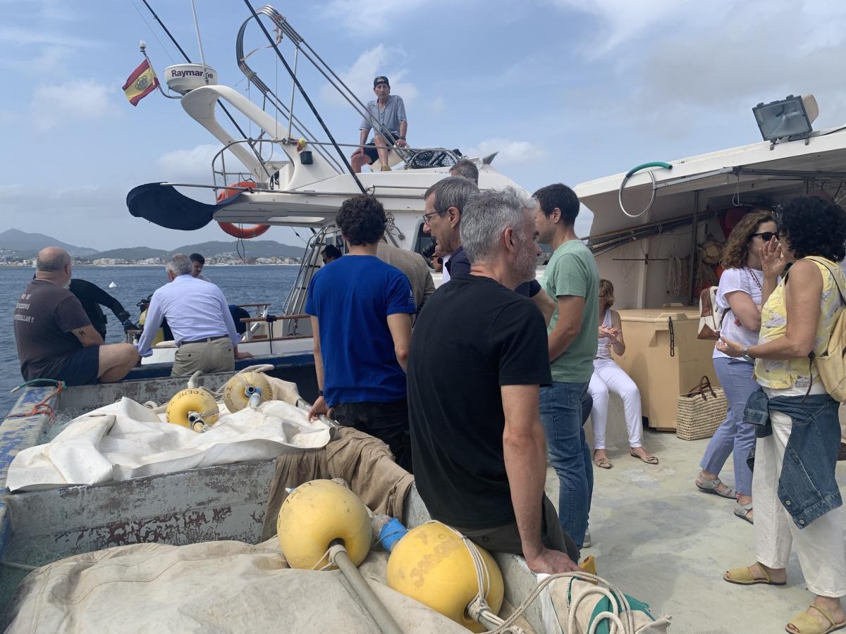 La tortuga Amadeu ya nada en libertad en aguas de Xàbia