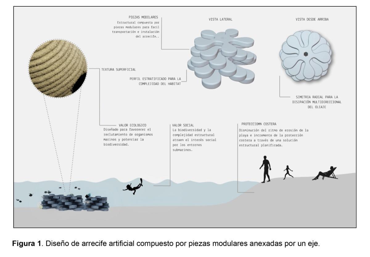 Dénia inicia los trámites para instalar un arrecife artificial en la playa de Les Marines Dénia inicia los trámites para instalar un arrecife artificial en la playa de Les Marines
