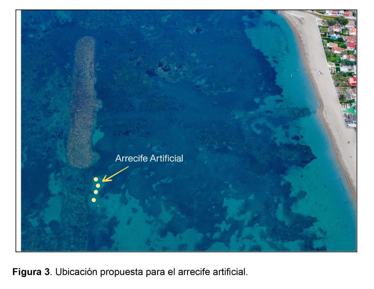 Dénia inicia los trámites para instalar un arrecife artificial en la playa de Les Marines Dénia inicia los trámites para instalar un arrecife artificial en la playa de Les Marines