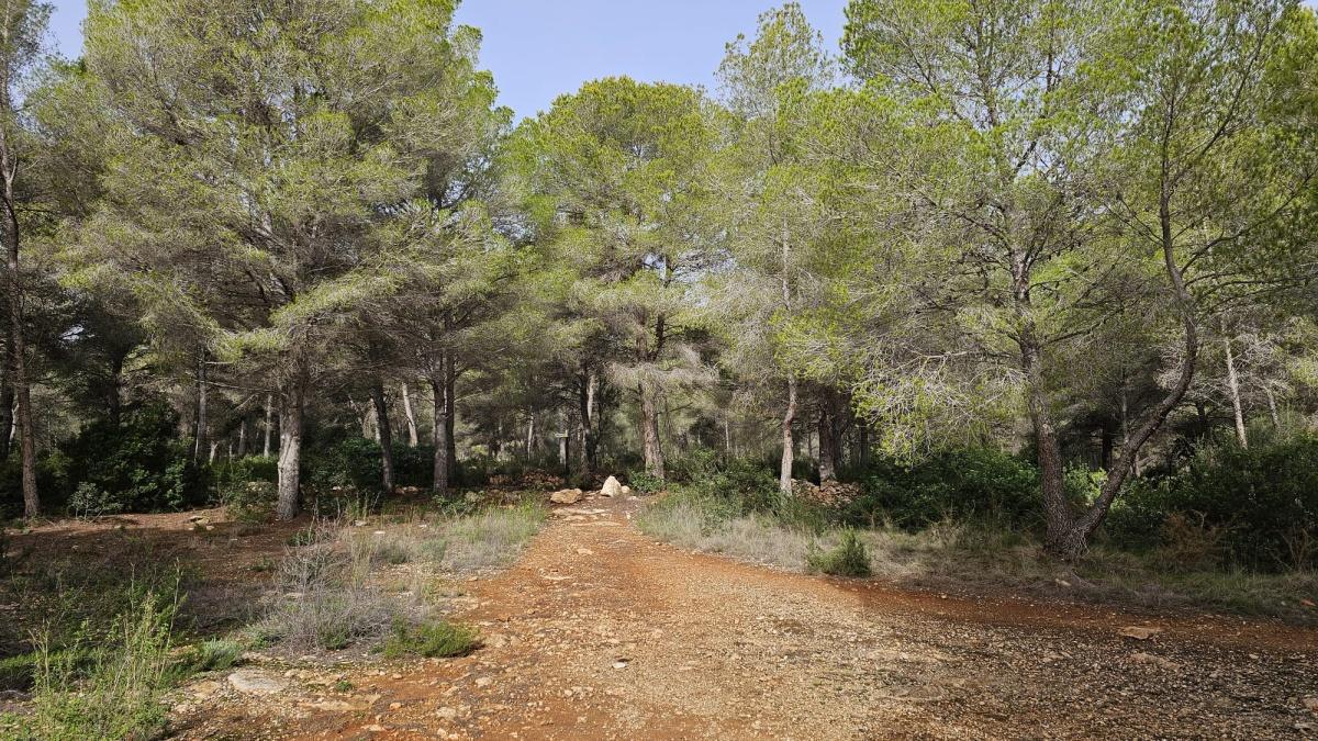 Calp inicia la tramitación para proteger 300.000 m² de suelo como zona verde y dotacional