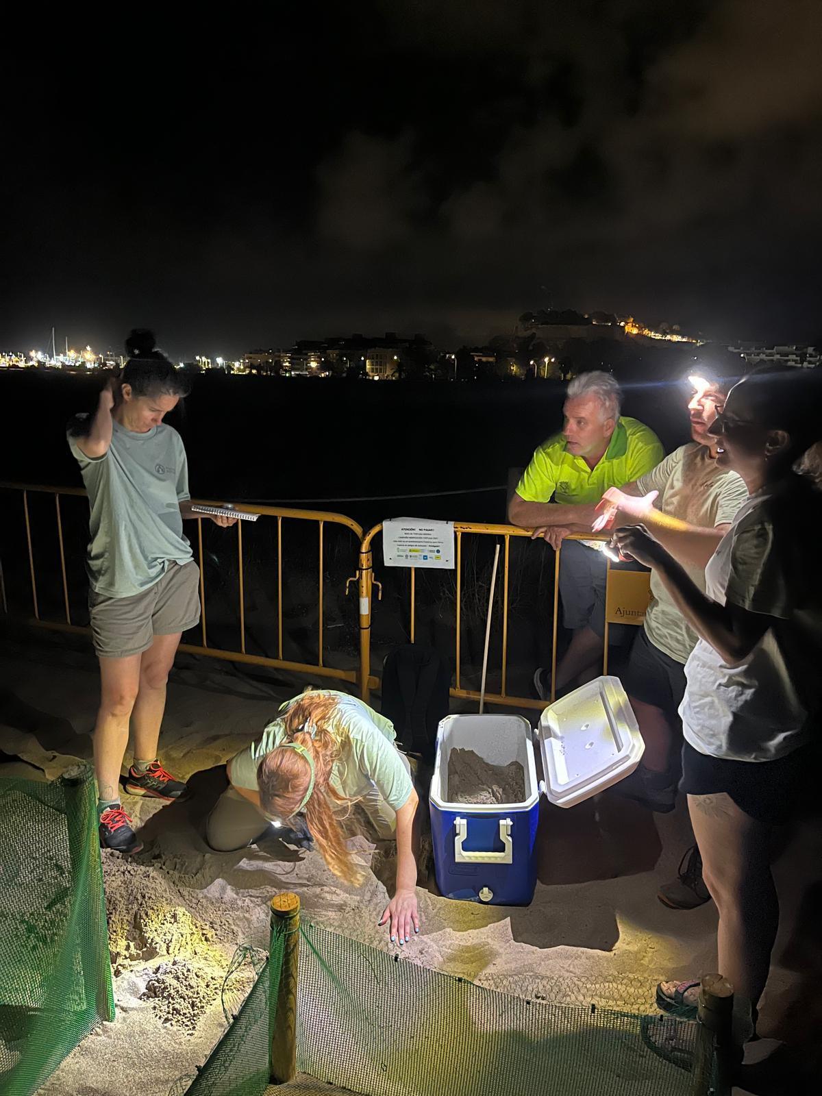 39 nuevos miembros se unen a la gran familia de la tortuga Diana en Dénia 39 nuevos miembros se unen a la gran familia de la tortuga Diana en Dénia