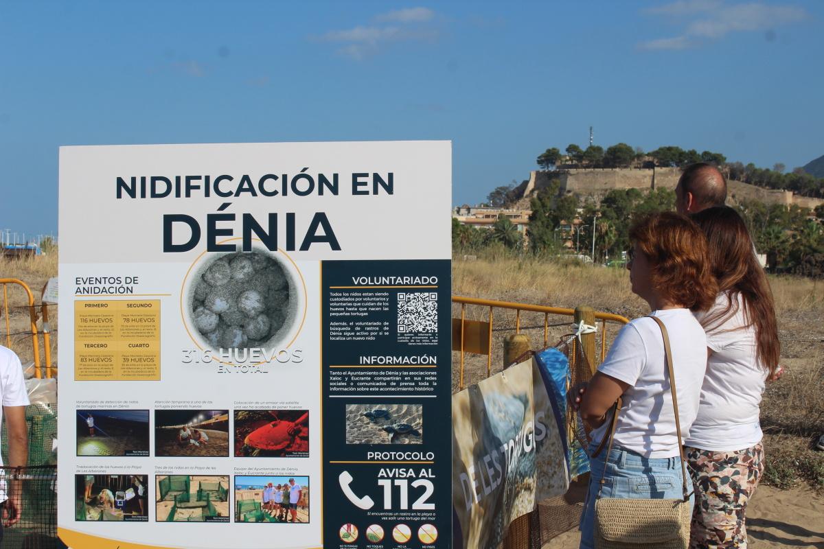 Més de 130 voluntaris custodien els nius de tortuga a les Albaranes de Dénia a l’espera de la primera eclosió Més de 130 voluntaris custodien els nius de tortuga a les Albaranes de Dénia a l’espera de la primera eclosió