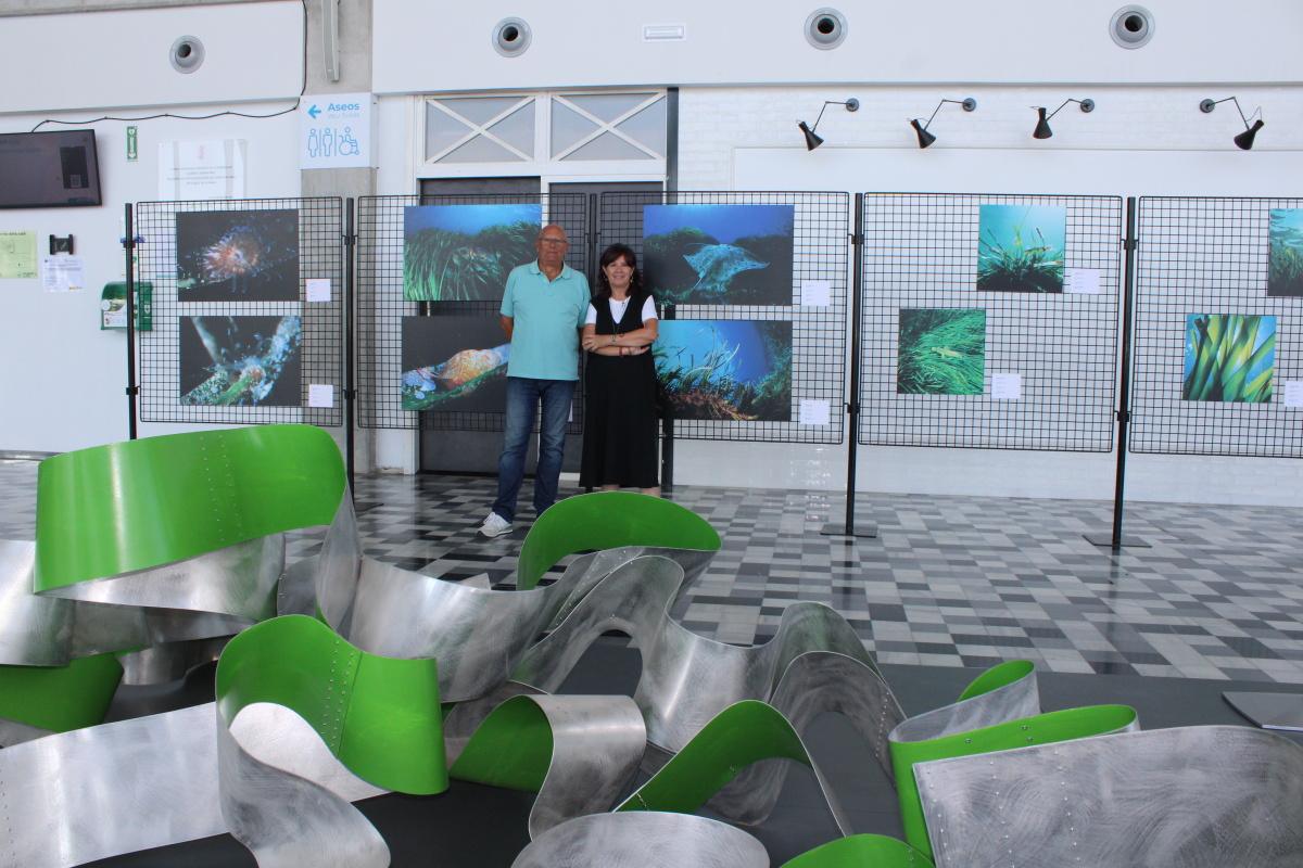 Una exposició a l’estació marítima de Dénia mostra la vida de la posidònia a través de la mirada de quatre fotògrafs deniers Una exposició a l’estació marítima de Dénia mostra la vida de la posidònia a través de la mirada de quatre fotògrafs deniers