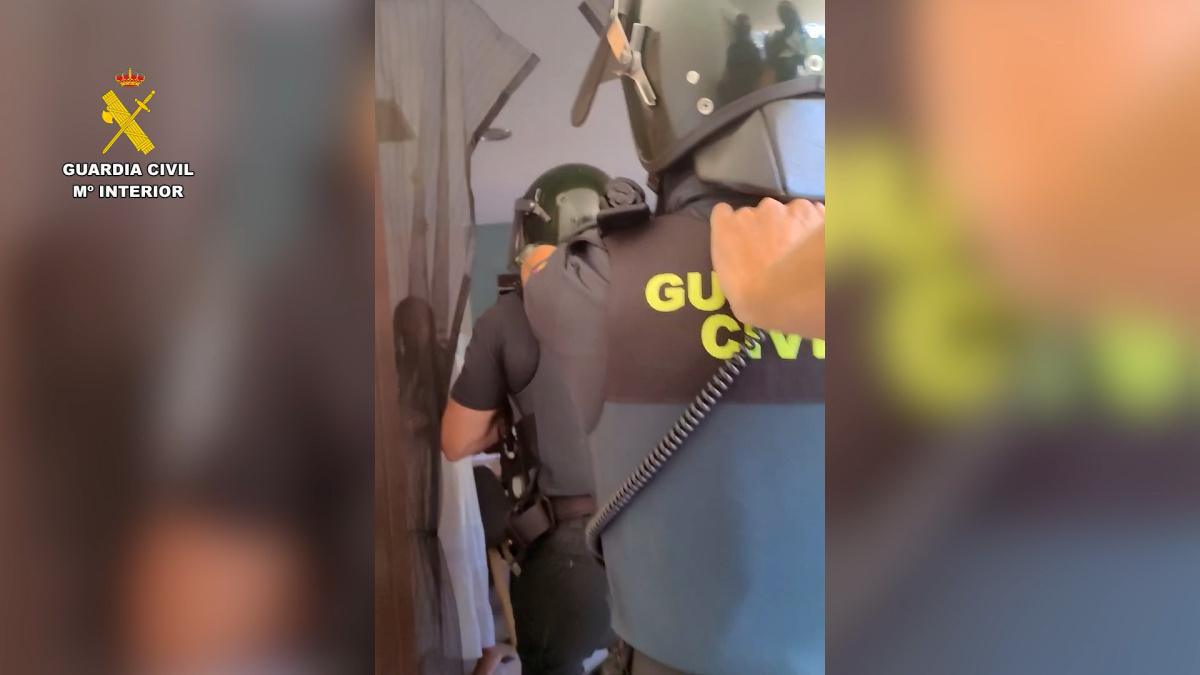 Desmantelada una organización anunciada como retiro espiritual en Pedreguer: ayahuasca, secreciones de sapo Kambó y cactus San Pedro Desmantelada una organización anunciada como retiro espiritual en Pedreguer: ayahuasca, secreciones de sapo Kambó y cactus San Pedro