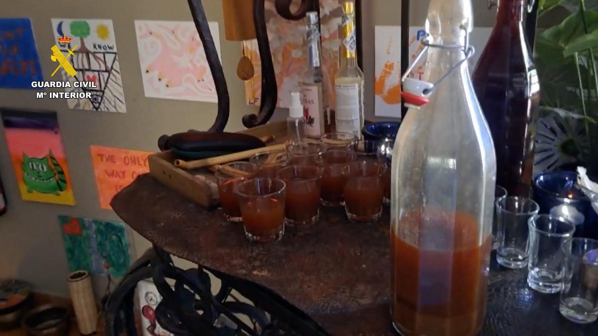 Desmantelada una organización anunciada como retiro espiritual en Pedreguer: ayahuasca, secreciones de sapo Kambó y cactus San Pedro 