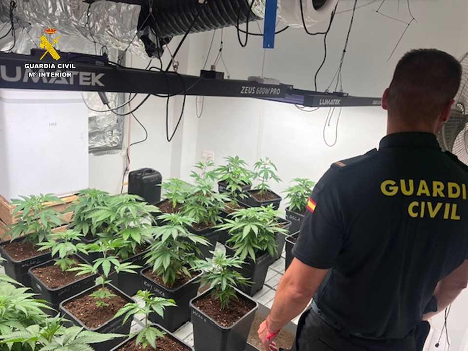 La Guardia Civil desmantela un cultivo de marihuana en Pedreguer y desactiva un punto de venta de droga