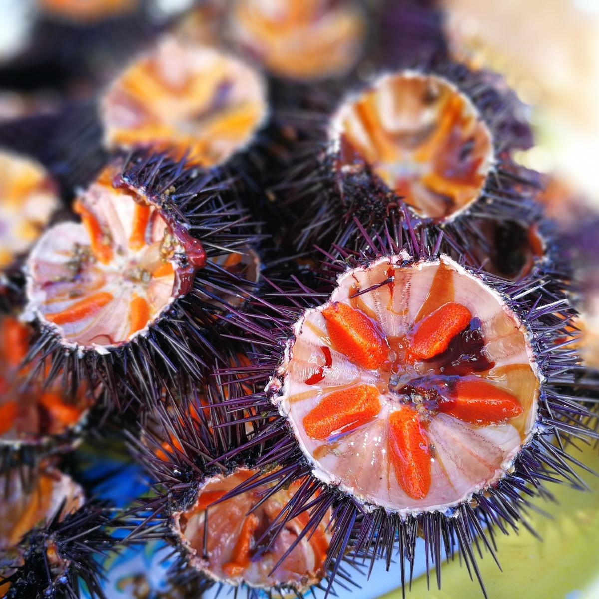 Los sabores de la Marina Alta