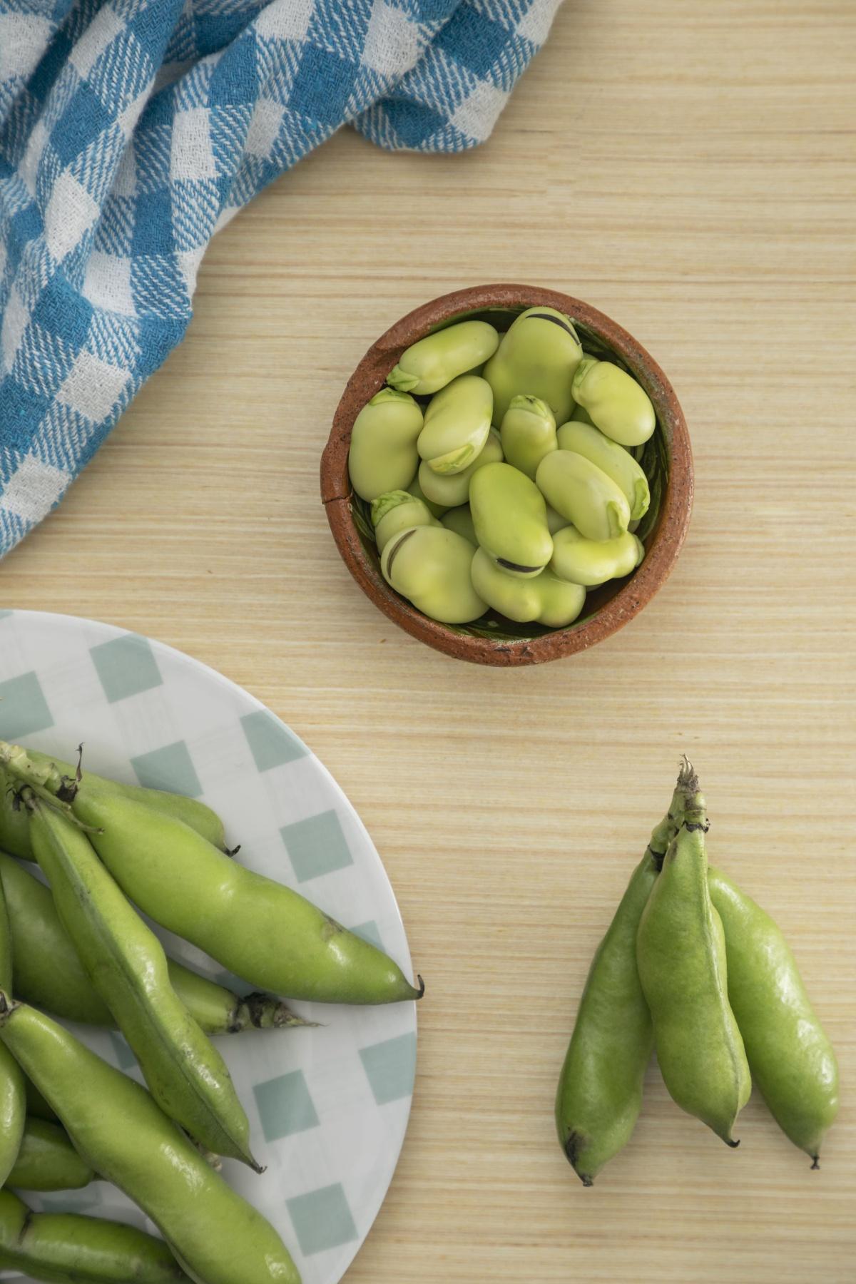 Los sabores de la Marina Alta Los sabores de la Marina Alta