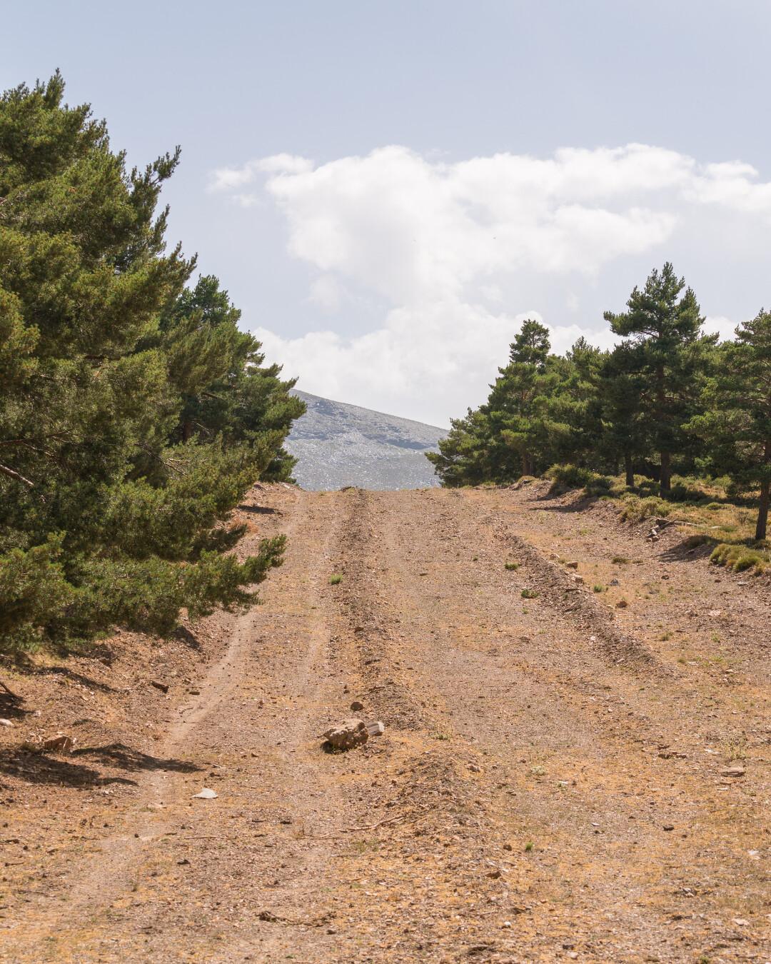 Teulada invierte cerca de 23.000 euros en medio ambiente para la prevención de incendios Teulada invierte cerca de 23.000 euros en medio ambiente para la prevención de incendios