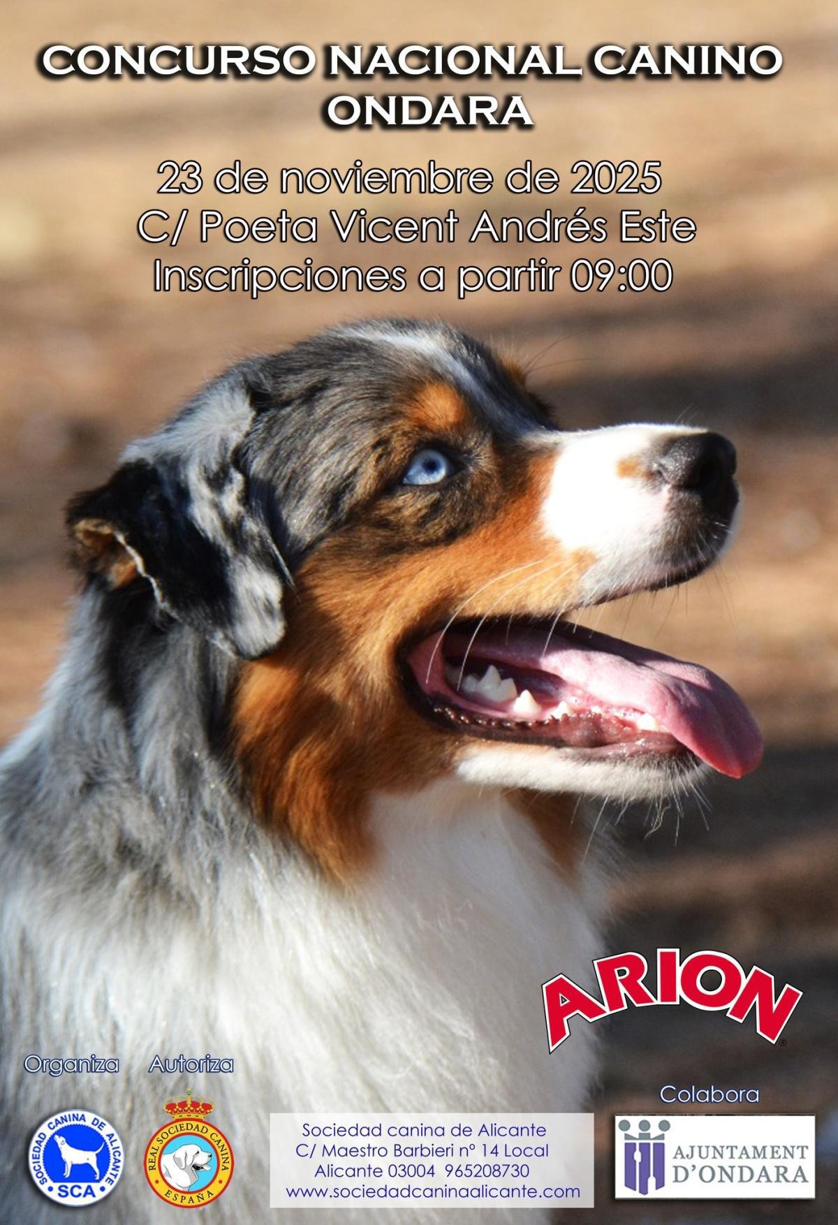 La Fira de Fires d'Ondara ja està ací! La Fira de Fires d'Ondara ja està ací!