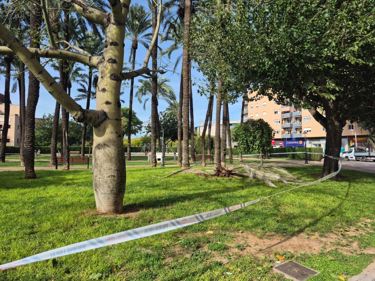 Dénia registra rachas superiores a los 70 km/h y se cierran varios espacios públicos Dénia registra rachas superiores a los 70 km/h y se cierran varios espacios públicos