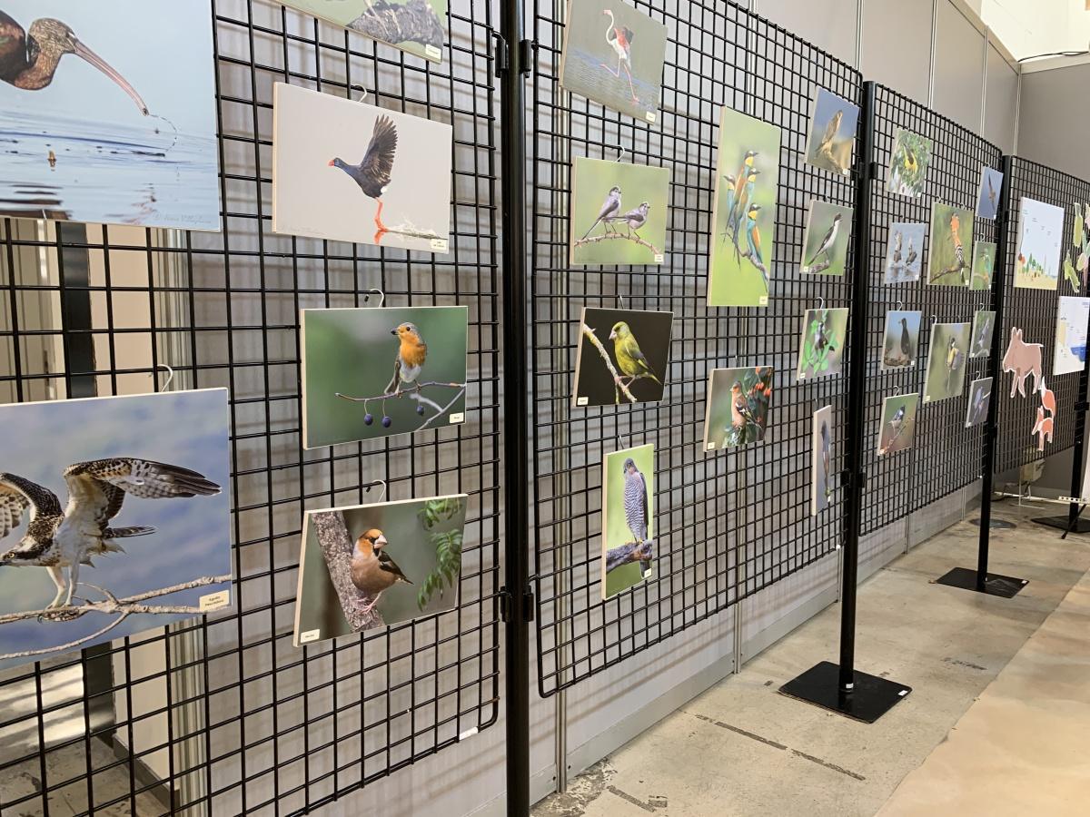 Nombroses personalitats donen la benvinguda a la Fira de Fires d'Ondara