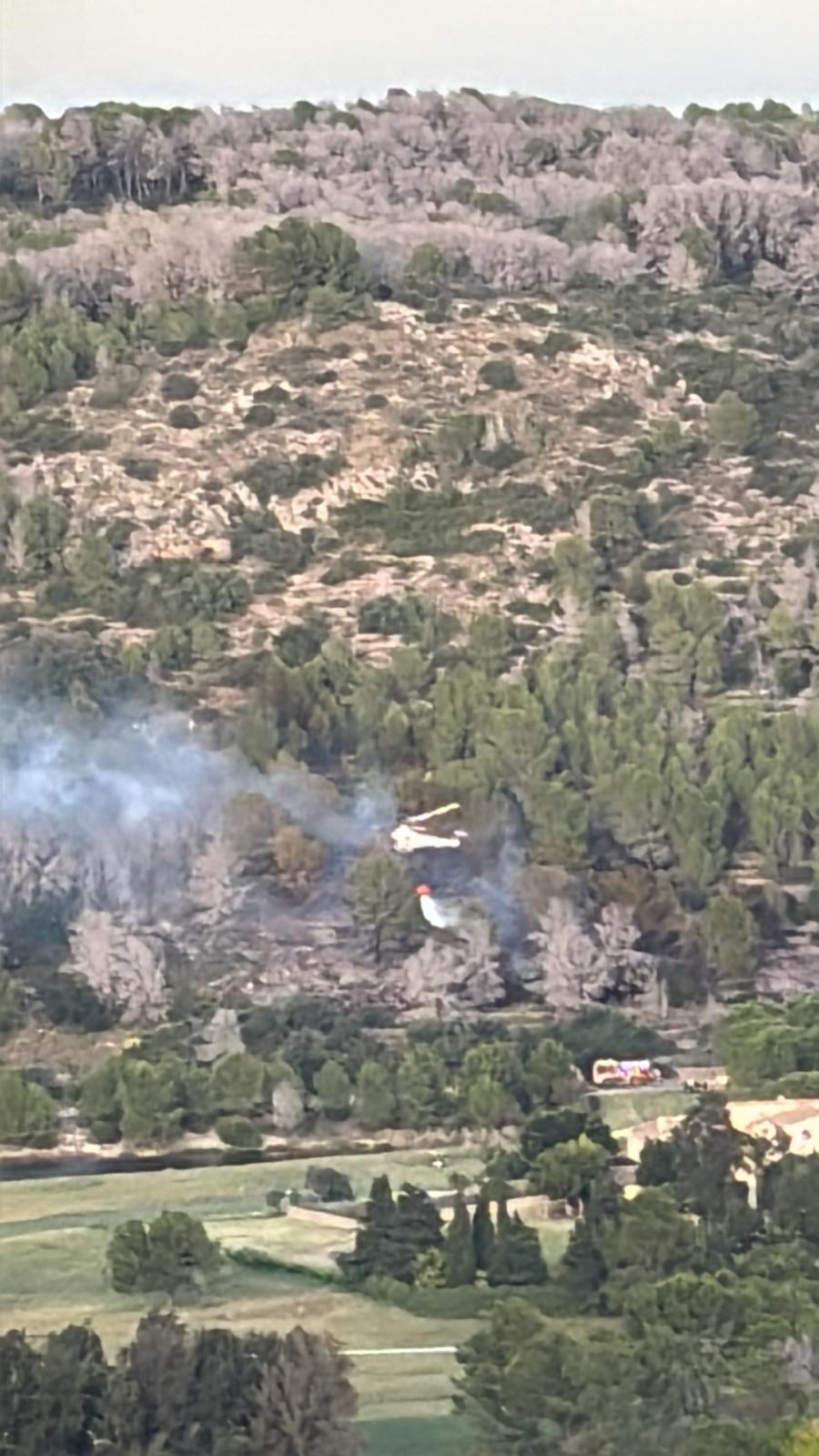 Incendio de arbolado en Dénia moviliza medios terrestres y aéreos