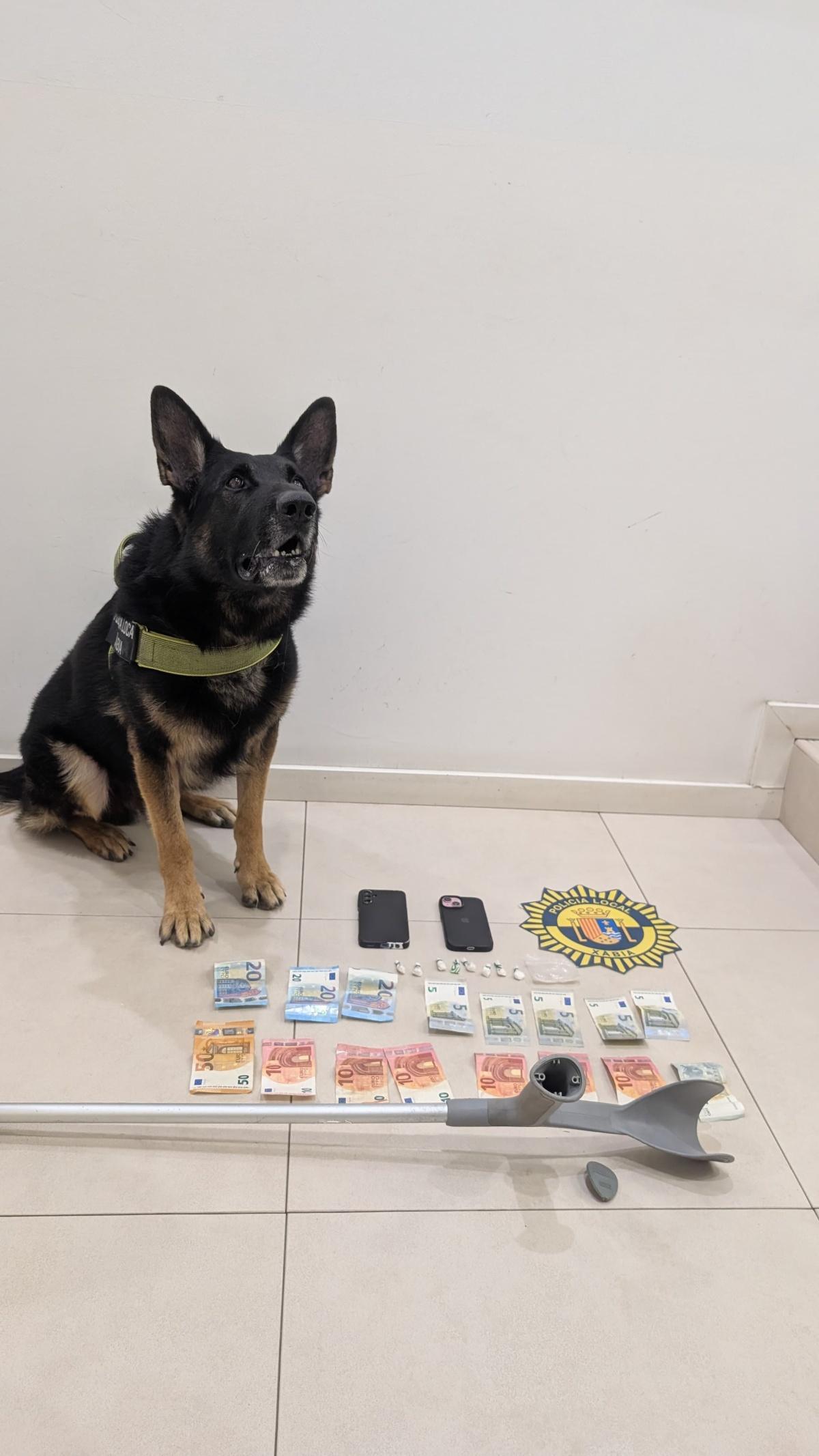 El perro Kosmo permite la detención de un individuo por presunto tráfico de drogas